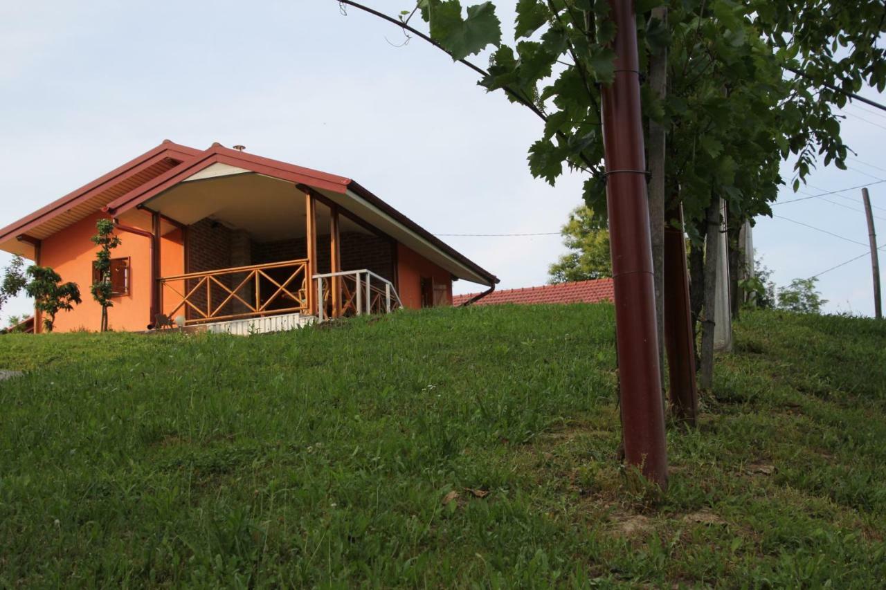 Villa Kuca Za Odmor "Nedeljko"/ Holliday Hause "Nedeljko" Sveti Martin Na Muri Exterior foto